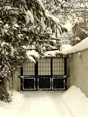 دوستی از نوع رویا